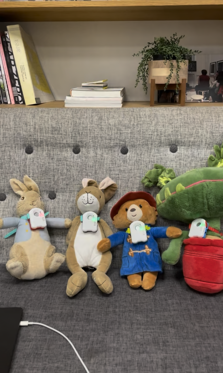 Build Custom AI Toys