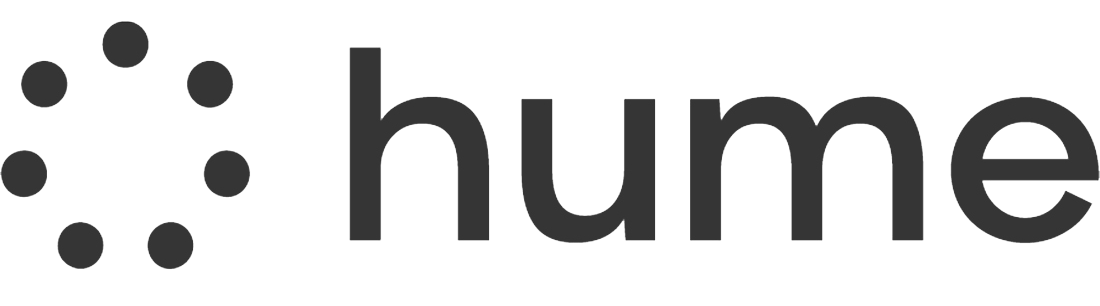 Gemini Live API